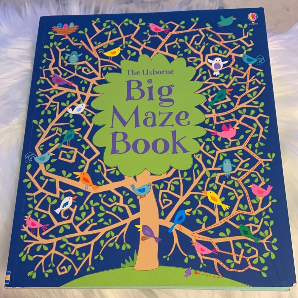 Usborne Big Maze Book